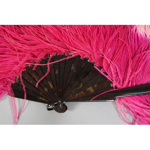 48 - A large ostrich feather fan in vibrant cerise, the tips in rose pink, mounted on tortoiseshell, heig... 