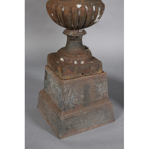 81 - A PAIR OF VICTORIAN CAST IRON GARDEN URNS, having egg and dart rims, the lower body lobed and on a s... 