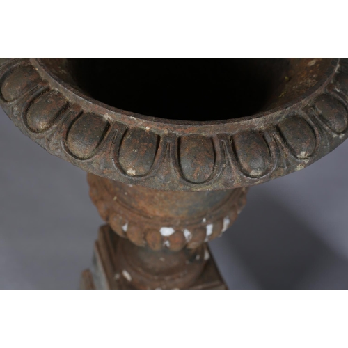 81 - A PAIR OF VICTORIAN CAST IRON GARDEN URNS, having egg and dart rims, the lower body lobed and on a s... 