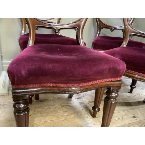 485 - A set of four mahogany balloon back dining chairs, wine coloured upholstery and on turned and lobed ... 