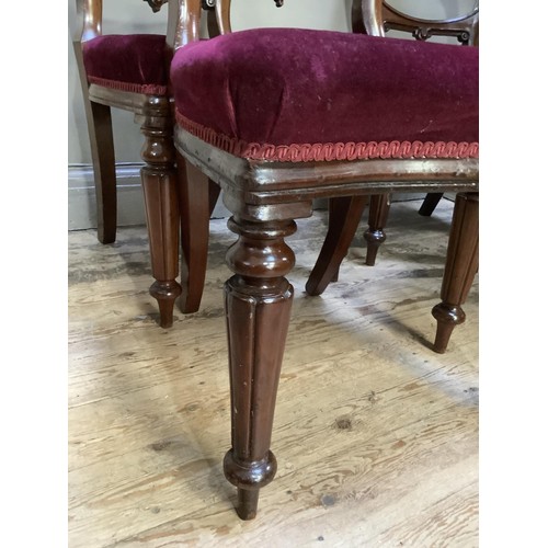 485 - A set of four mahogany balloon back dining chairs, wine coloured upholstery and on turned and lobed ... 