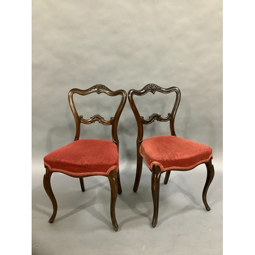 105 - A pair of Victorian rosewood salon chairs, carved serpentine back with floral decoration and on cabr... 