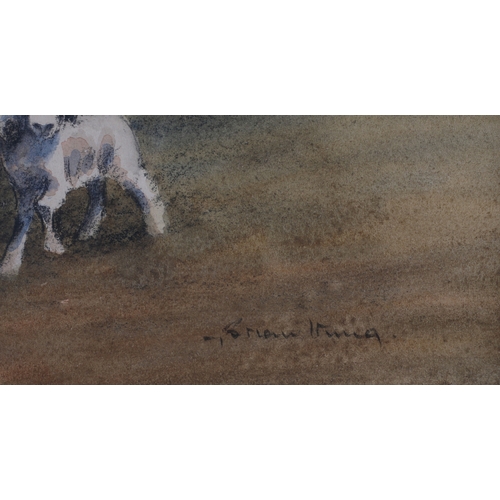 33 - ARR Brian Irving (1931-2013), Dales Sheep Study IX, ewe and lamb, watercolour, signed to lower right... 