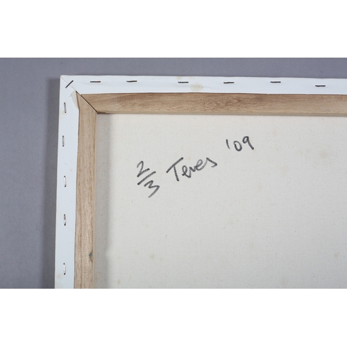 120 - ARR Teves (French 20/21st) Stormpooper, spray paint stencil on white signed, dated '09 and no.2/3 ve... 