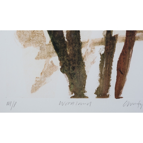 10 - ARR Christopher P Wood (b1961), Woodland, monoprint (2), signed and dated (19)95 and M/P to the lowe... 