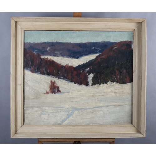 23 - Early 20th century, European School, snow covered wooded sloped, oil on canvas, indistinctly signed ... 