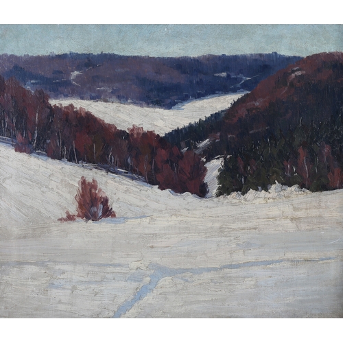 23 - Early 20th century, European School, snow covered wooded sloped, oil on canvas, indistinctly signed ... 