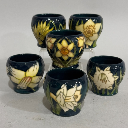 22 - A set of six Moorcroft  Easter Eggcups, tube lined with daffodils, circa 2002, in presentation case