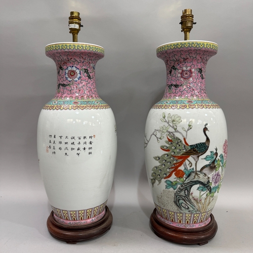 67 - A pair of reproduction Chinese famille rose table lamps painted with peacocks perched on rocks issui... 