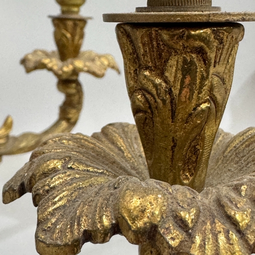 71 - A cast gilt metal five light electrolier of acanthus leaf design