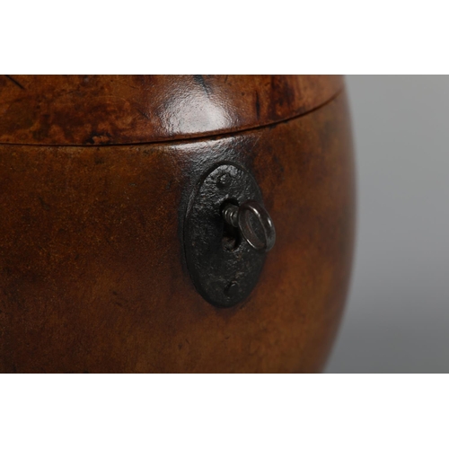 41 - A GEORGE III FRUITWOOD APPLE-SHAPED TEA CADDY, early 19th century, 12.5cm high