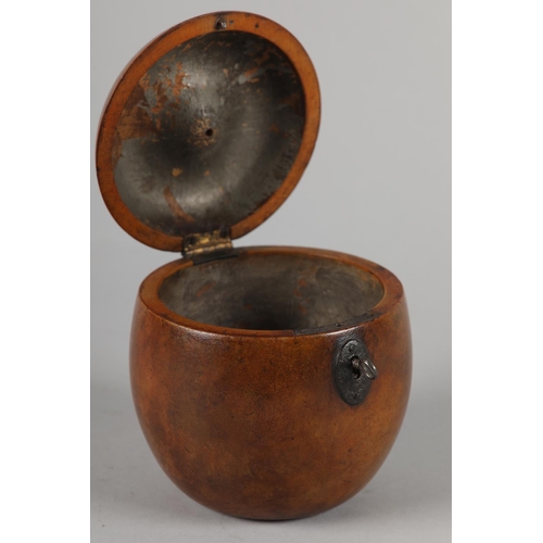 41 - A GEORGE III FRUITWOOD APPLE-SHAPED TEA CADDY, early 19th century, 12.5cm high