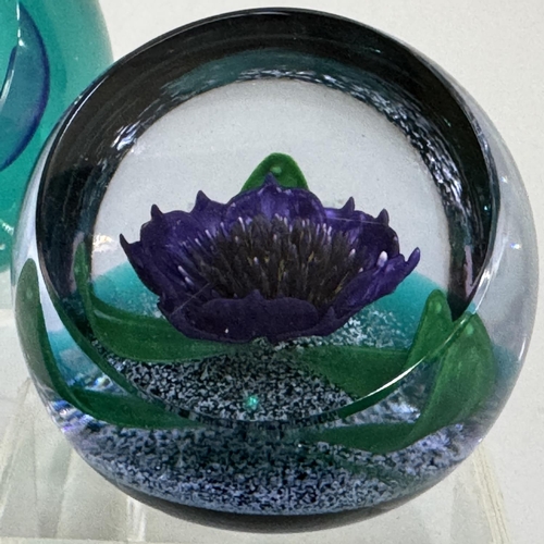 18 - A Caithness glass paperweight Saladin etched no.1032, another Tropicana etched no.627, another Silke... 