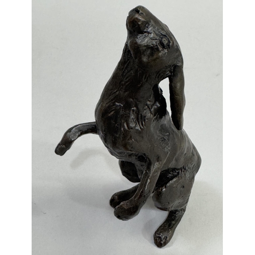 30 - A bronze figure of a hare by Sue Maclaurin, Nelson and Forbes Foundry, no 1/250