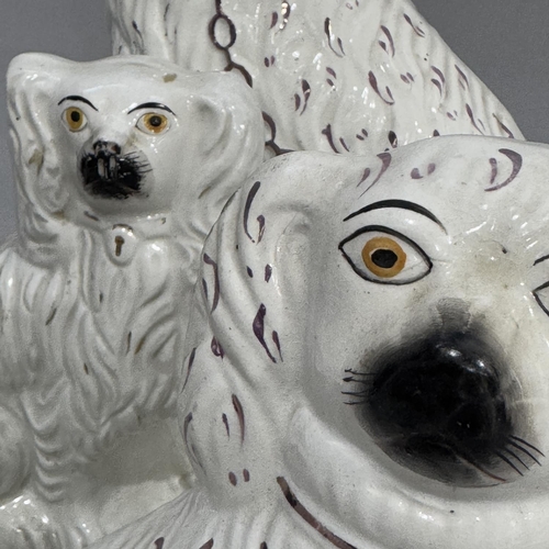 280 - A pair of Victorian Staffordshire spaniels, painted features and Sunderland lustre detailing 26.5cm ... 