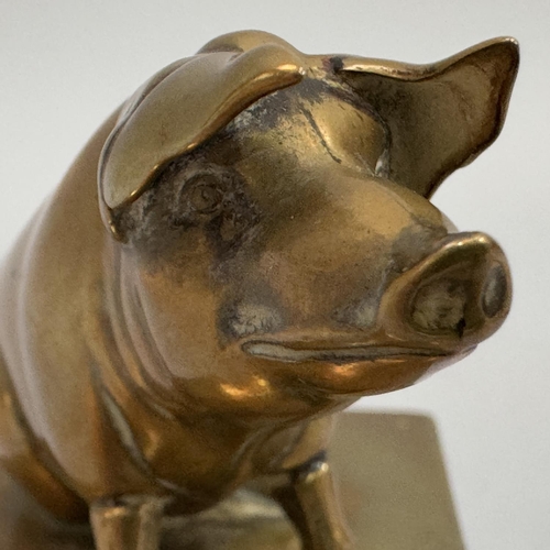 53 - A Victorian brass vesta holder surmounted with a brass pig, overall height 9cm