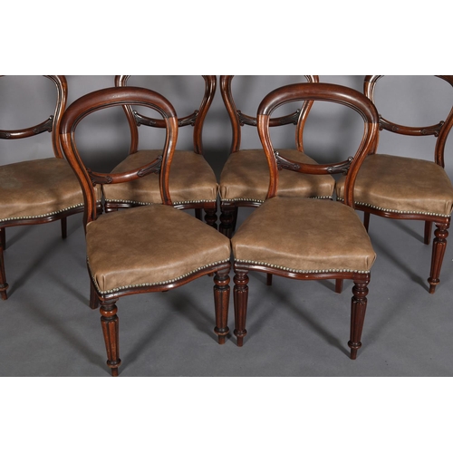 456 - A SET OF SIX MID VICTORIAN MAHOGANY BALLOON BACK DINING CHAIRS, hide-effect upholstered seats on ree... 