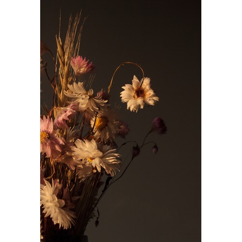 158 - Alexander Hoyles, Spring Flowers Series, Digital, archival Giclée print on Hahnemühle photo rag, Edi... 