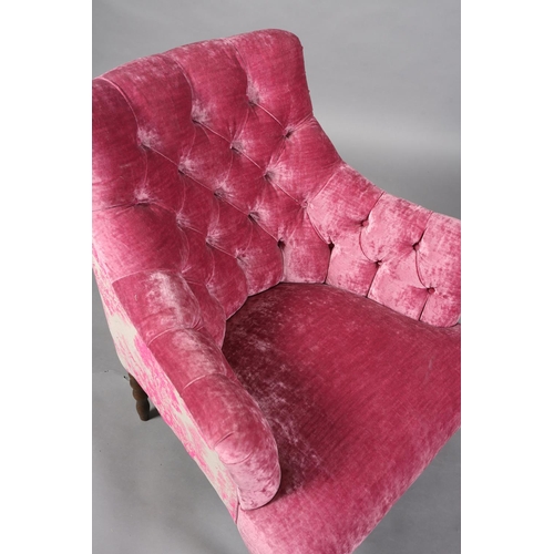 37 - A John Sankey buttoned back pink velvet and etoile upholstered tub chair on turned legs