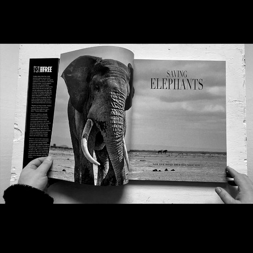 225 - Saving Elephants, Luxury Coffee Table Book for The Born Free Foundation, 2023 Prix de la Photographi... 