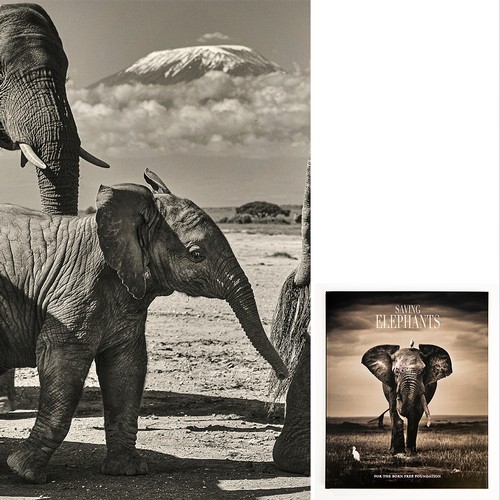 225 - Saving Elephants, Luxury Coffee Table Book for The Born Free Foundation, 2023 Prix de la Photographi... 