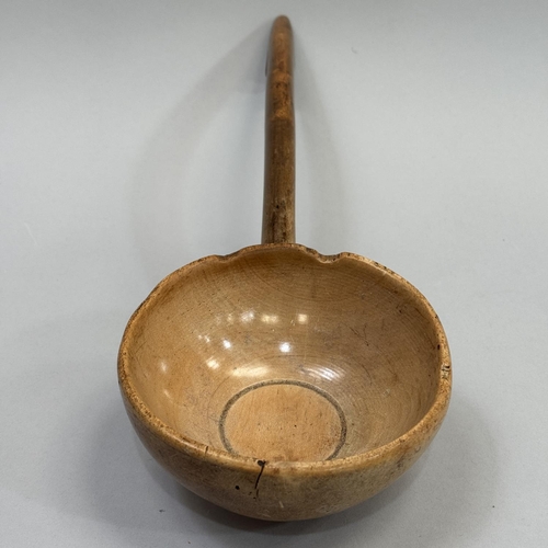 16 - A 19TH CENTURY WELSH SYCAMORE CAWL LADLE with integral hook handle for hanging, 39.5cm long, the bow... 