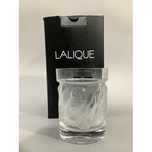 Lot 40        