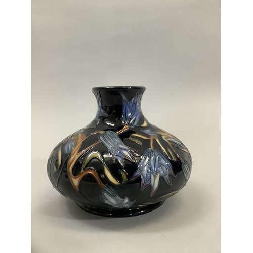 Lot 45        