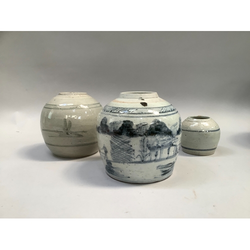 Lot 7         