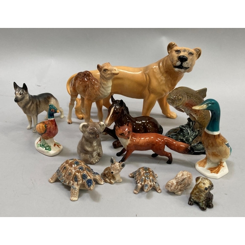 Lot 20        