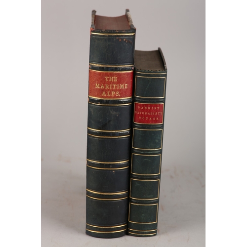 Lot 43        