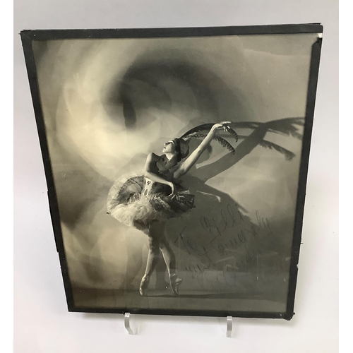 Lot 28        