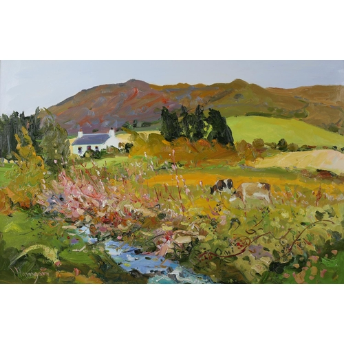 Lot 57        