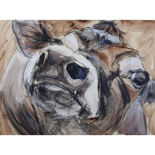Lot 41        
