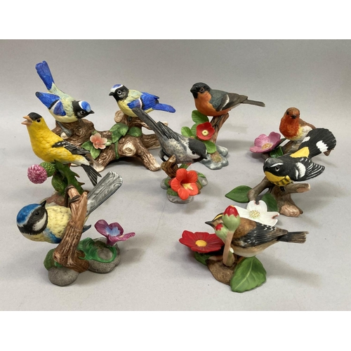 39 - A collection of nine porcelain birds by Franklin Mint