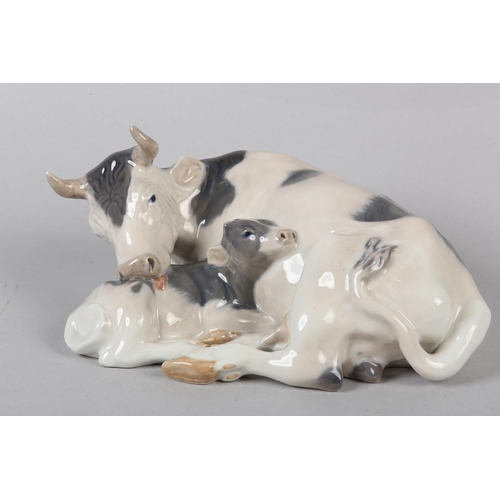 56 - A ROYAL COPENHAGEN COW WITH CALF, modelled by Knud Kyhn, no. R800 printed and painted mark, 12cm hig... 