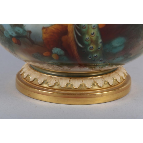 38 - A ROYAL WORCESTER PORCELAIN TWO HANDLED POT POURRI VASE AND COVER SIGNED BY A SHUCK, painted with pe... 