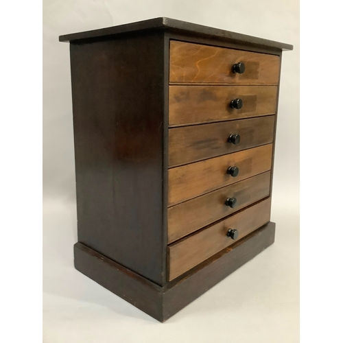 A specimen chest of six graduated drawers on plinth base, 38cm wide x ...