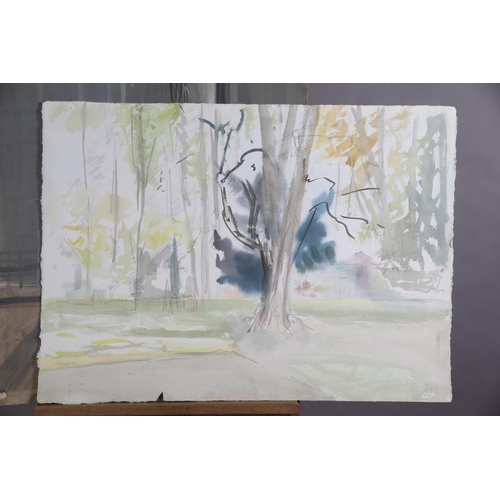 54 - ARR Druie Bowett (1924-1998), Woodland Landscape, watercolour, signed and dated '89 to lower right, ... 