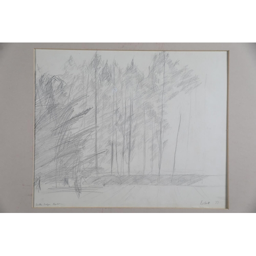 54 - ARR Druie Bowett (1924-1998), Woodland Landscape, watercolour, signed and dated '89 to lower right, ... 