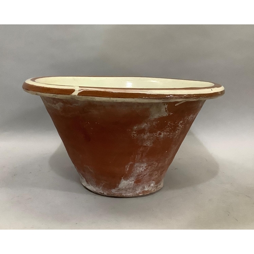 Lot 59        
