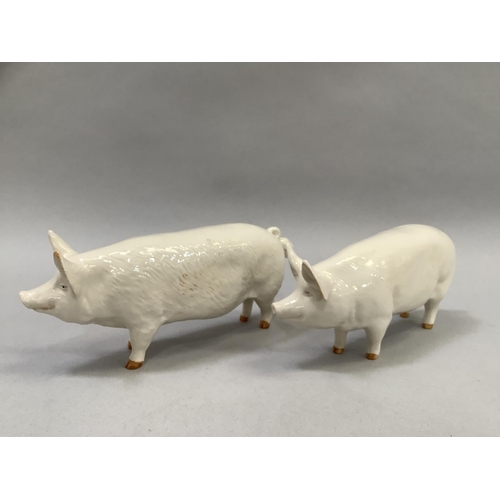 20 - A pair of Beswick pigs lettered 'Champion Wall Boy 53' and 'Queen 40'