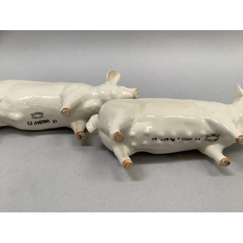 20 - A pair of Beswick pigs lettered 'Champion Wall Boy 53' and 'Queen 40'