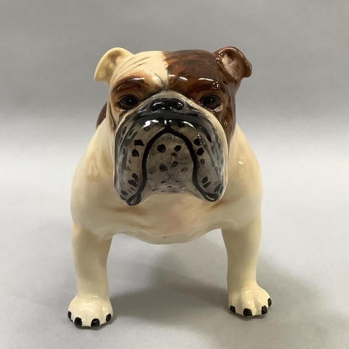 21 - A Beswick model of a bulldog, 'Champion Basford British Mascot', 20cm long