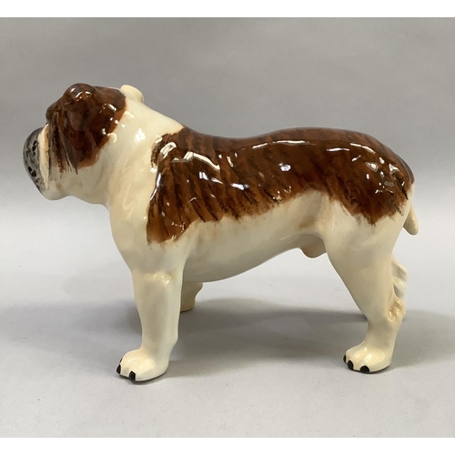 21 - A Beswick model of a bulldog, 'Champion Basford British Mascot', 20cm long