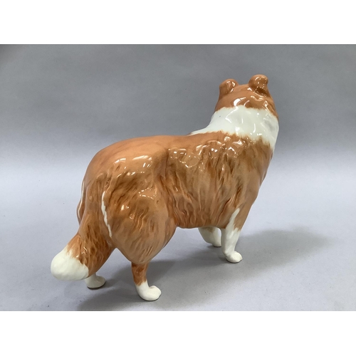 22 - A Beswick rough collie 'Lochinvar of Lady Park', model number 1791, 14.5cm long