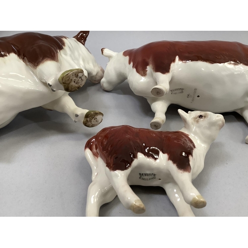 29 - A Beswick Hereford bull, heifer and calf group, the heifer marked 'Champion of Champions', all with ... 