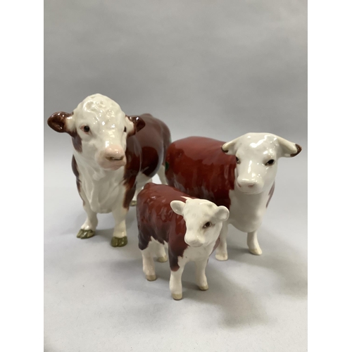 29 - A Beswick Hereford bull, heifer and calf group, the heifer marked 'Champion of Champions', all with ... 