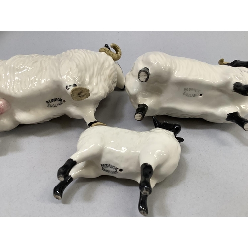 30 - A Beswick Swaledale ram, ewe, and lamb, all with printed marks, 8.5cm , 8cm, and 6cm high