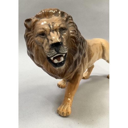 36 - A Beswick model of a lion, approximately 22cm long